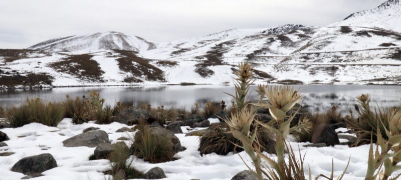 nevado-de-toluca-cumbres-de-mexico