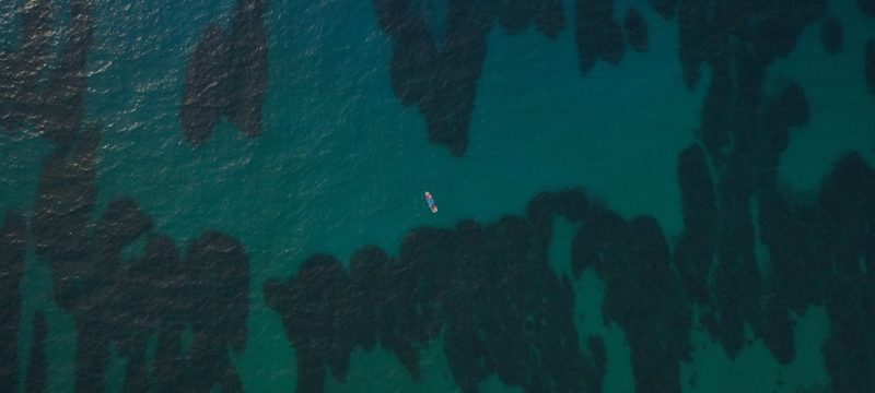 Oceanotipo ubicacion