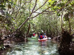 merida-kayak-en-la-costa-esmeralda