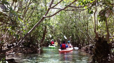 merida-kayak-en-la-costa-esmeralda