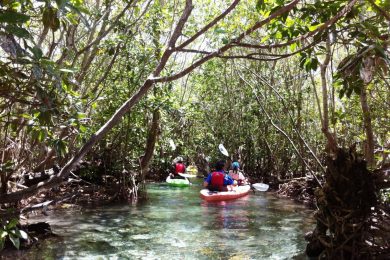 merida-kayak-en-la-costa-esmeralda