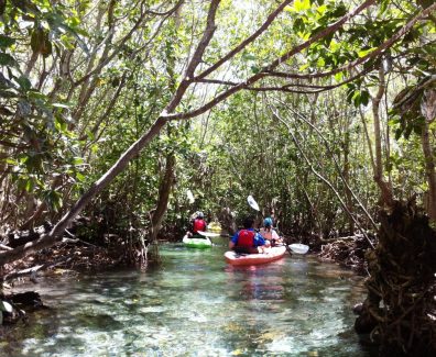 merida-kayak-en-la-costa-esmeralda