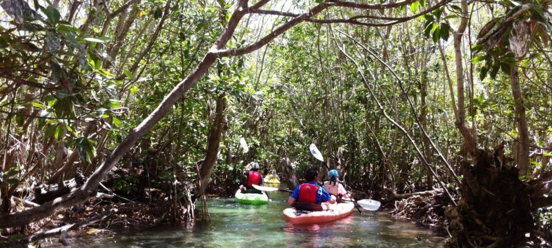 merida-kayak-en-la-costa-esmeralda