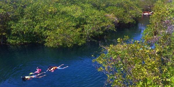 Personas practican snorkel en la superficie de Cenotes Encantado.