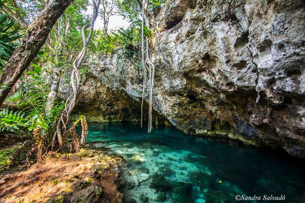 Vista exterior de Gran Cenote con sus aguas cristalinas y pared de roca.