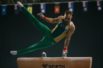 Tipos de gimnasia_ gimnasia artística masculina