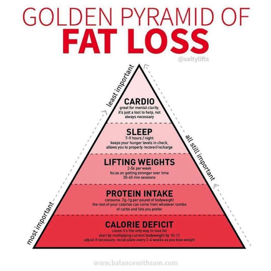 Pirámide de la pérdida de grasa corporal.