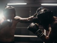 Seguro para boxeadores