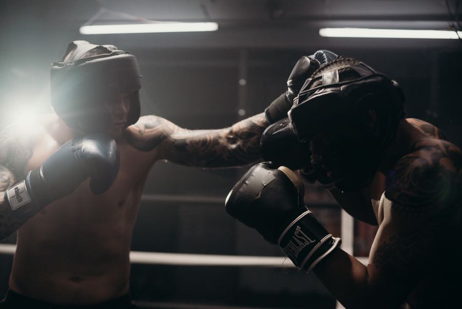 Seguro para boxeadores: una opción confiable