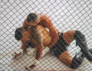 Seguro-contra-accidentes-artes-marciales-mixtas-min
