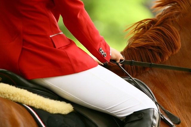 Seguro para equitación: monta tu caballo sin inquietudes