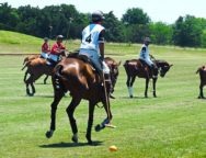 polo6