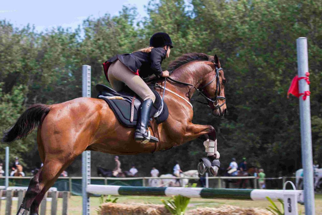 La equitación está en la lista de deportes de habilidad existentes