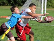 lesiones_mas_comunes_tocho_bandera