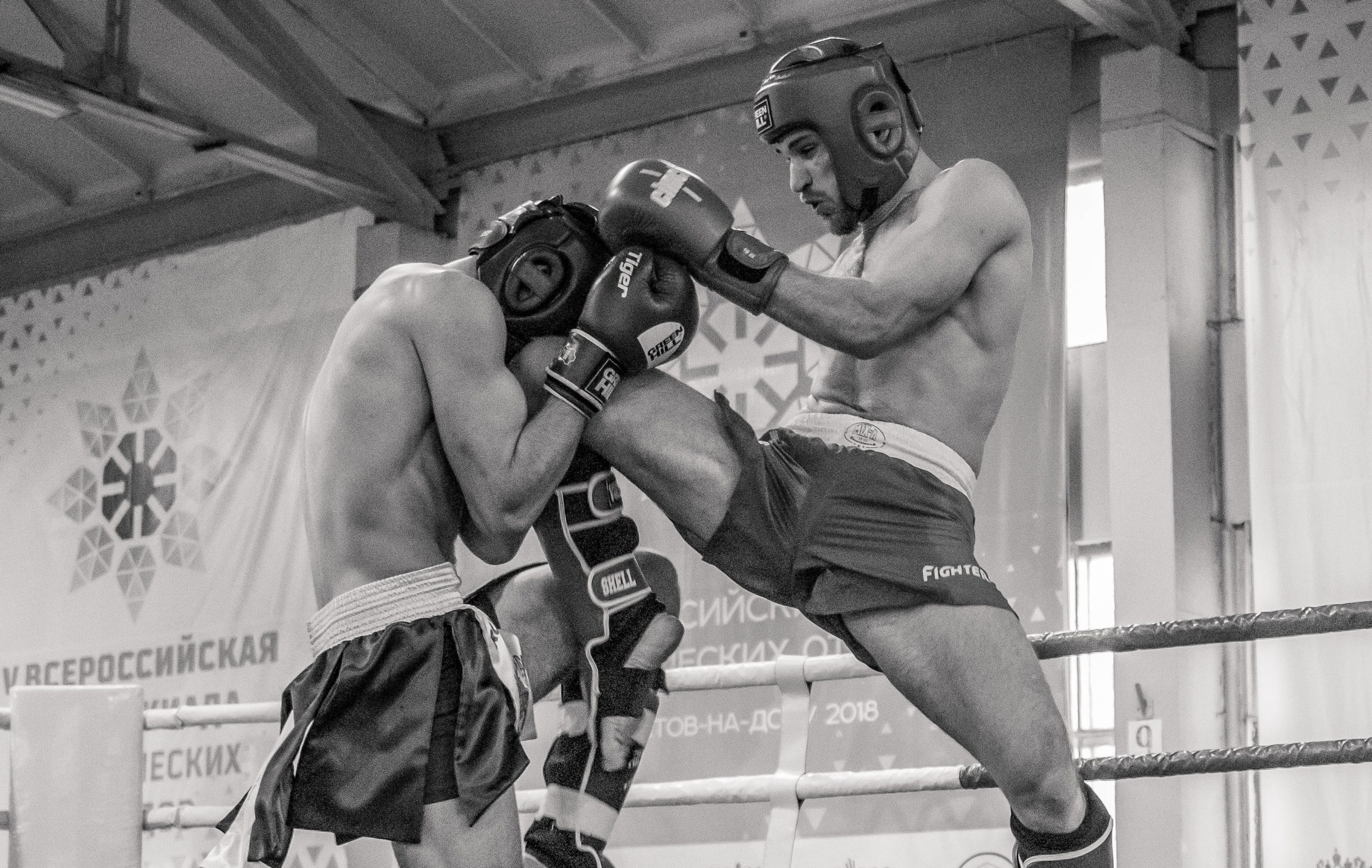 Seguro para kickboxing: ¡pelea sin temor!