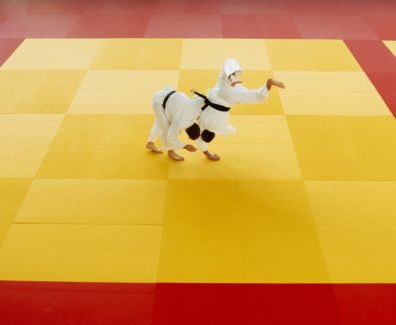 judo