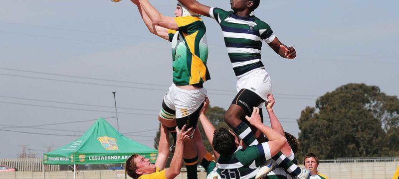 lineout-rugby