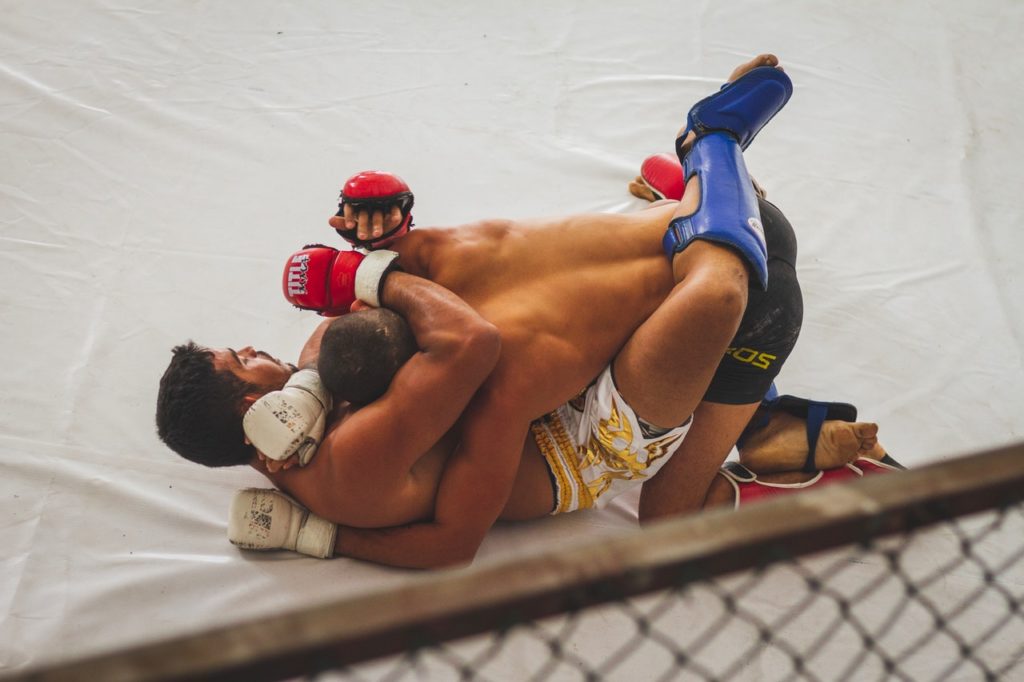 Técnicas de agarre en las reglas de MMA