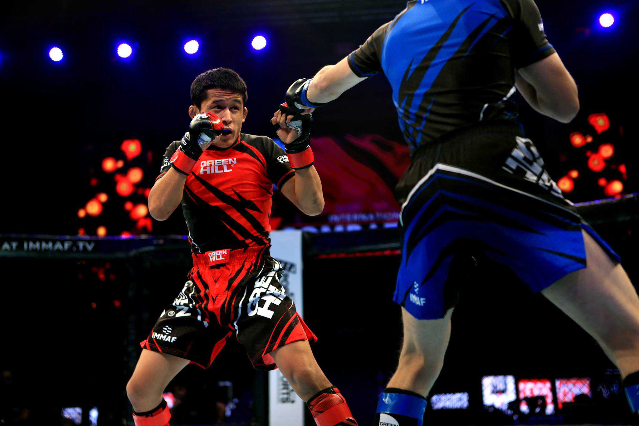 Nutrición en MMA: todo lo que necesitas saber