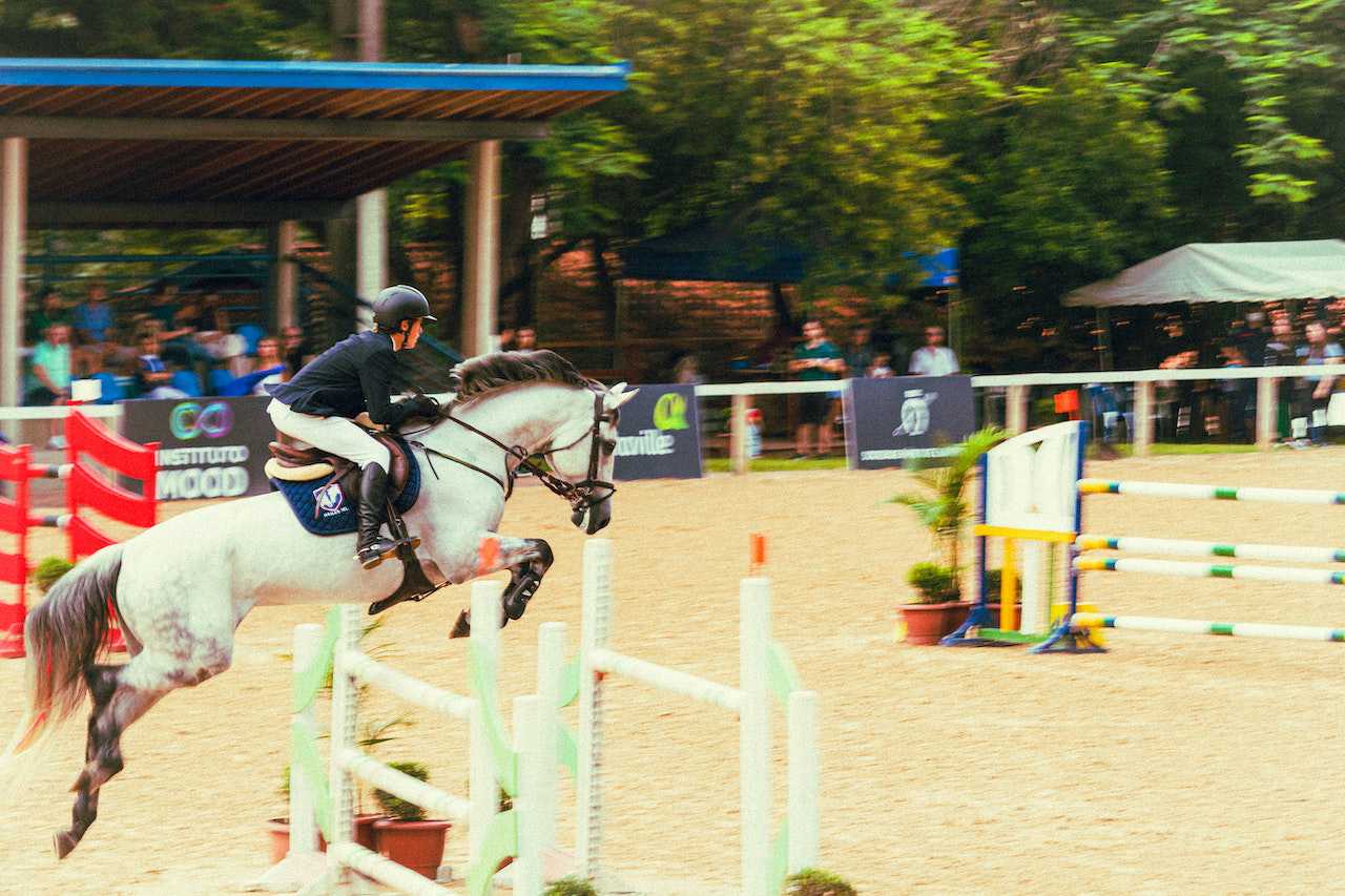 Reglas de la equitación: cómo se compite - Journey Sports