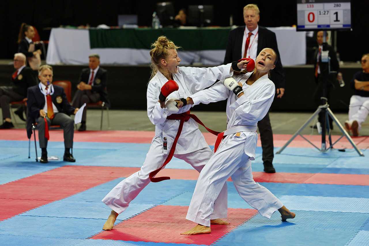 Reglas del karate: ¿cómo combatir?