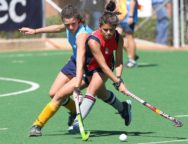 hockey-sobre-pasto