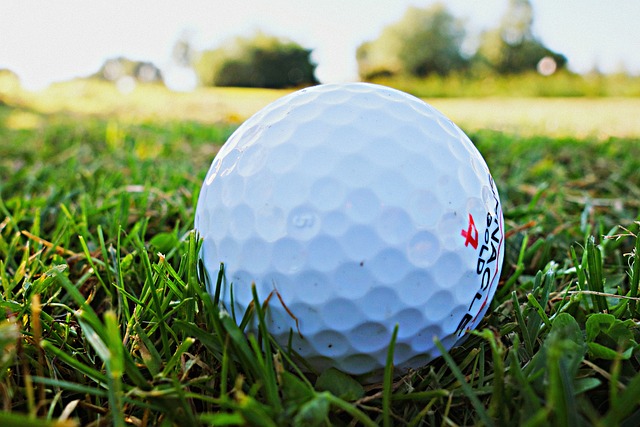 Pelota de golf