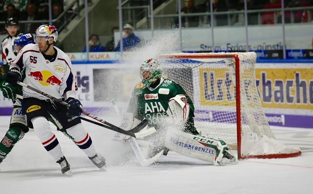 Reglas del hockey sobre hielo: cómo se compite