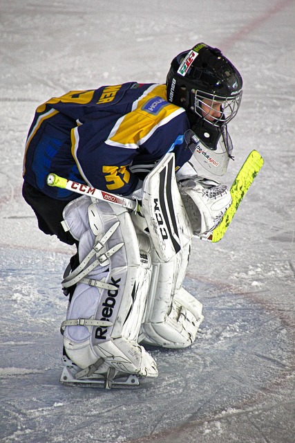 Equipo deportivo del hockey sobre hielo