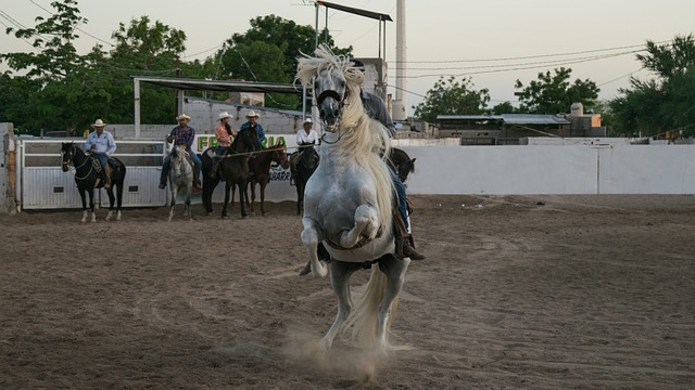 Caballo charro