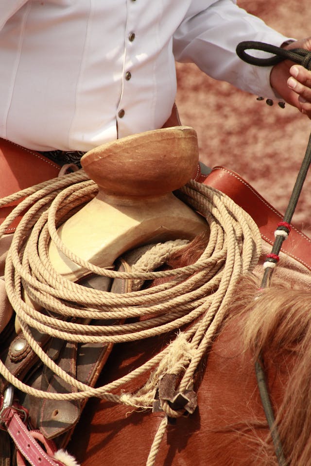 Equipo deportivo de la charrería