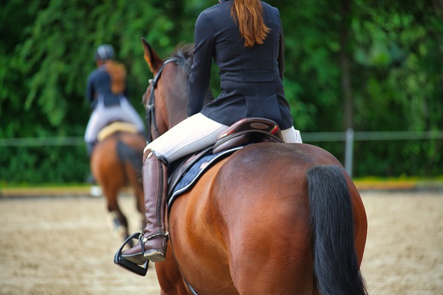 Equipo deportivo para equitación en el pentatlón moderno