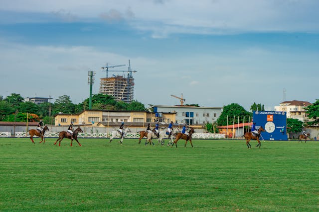 Campo de polo