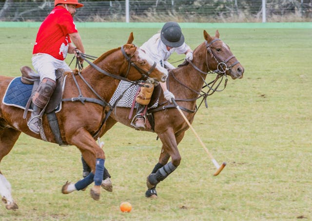 Equipo deportivo del polo