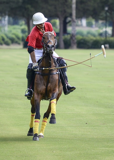 Uniformes reglamentarios en el polo