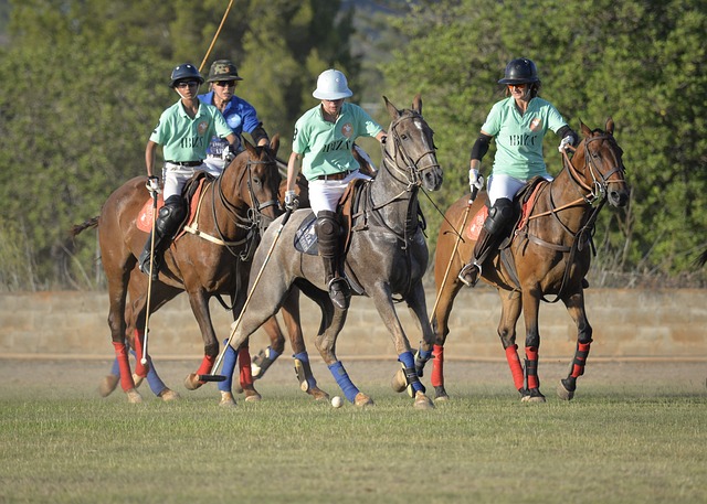 Cómo se compite al polo