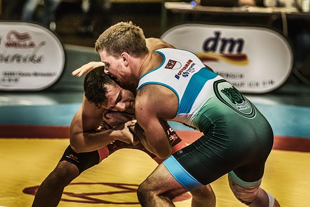 Combate de la lucha libre