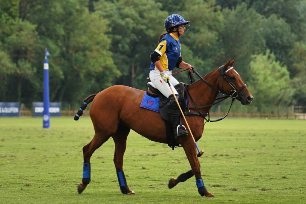 seguro para caballos o deportes ecuestres