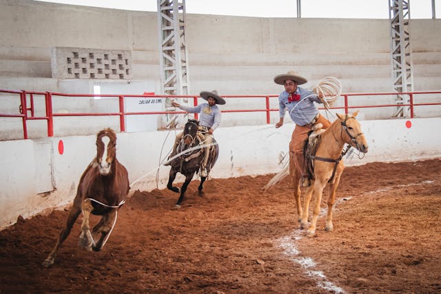 Cuáles son los costos del seguro para copa deportiva con Journey Sports.