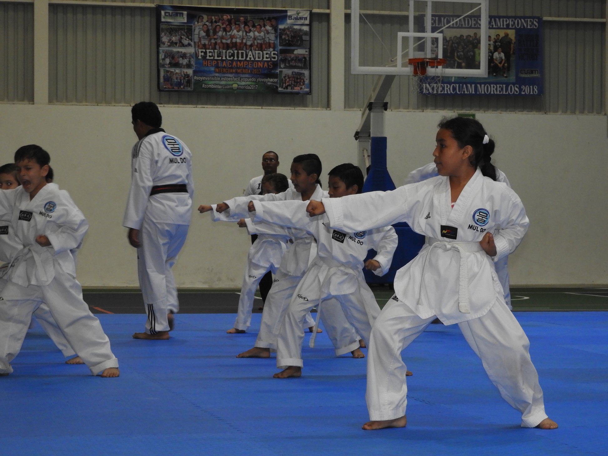 Taekwondo para niños - 5 11 - MULDO | Journey Sports